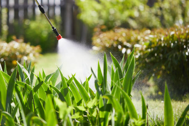 24/7 Emergency Wasp Removal experts in Keystone Heights, FL