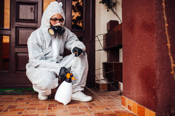 Reliable Wasp Removal contractor in Keystone Heights, FL by Show Me Pest Control